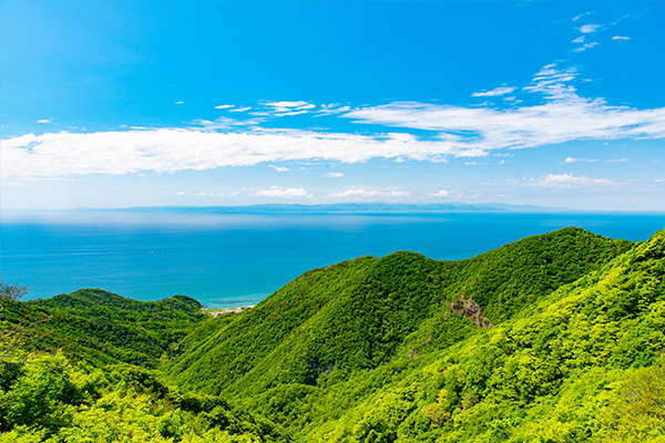 海凪会（みなぎ）晦日コンペ
