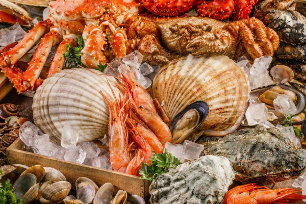 日本海大漁祭り